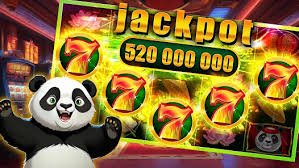 win bet win bet
